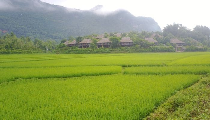 Ruộng bậc thang